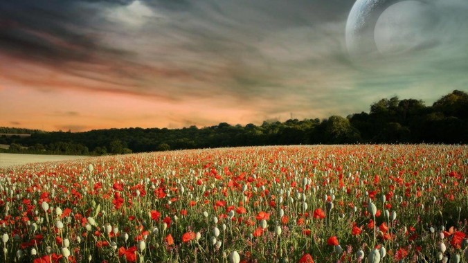 DeepSeek R1-0528 发布！ 你觉得新R1 手感如何？哪些点得到了提升?